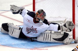 飞鲸体育直播-世俱杯赞助商品牌形象建设及品牌认知提升