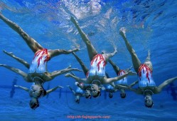 飞鲸体育直播-大型健身器材适合哪些场所和训练项目？（大型健身器材名称及图片）