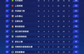 飞鲸体育直播-德甲球队关系素材包含哪些重要信息，这些素材如何被使用？（德甲关系帮）