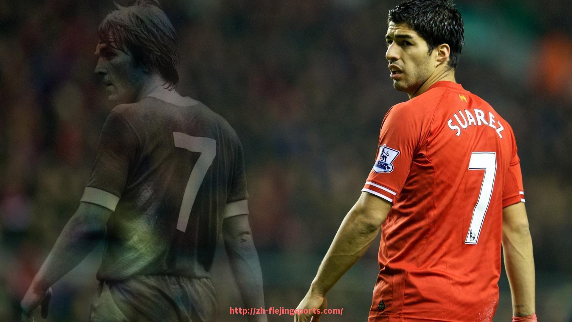 飞鲸体育直播-世俱杯赛事市场价值及商业潜力分析