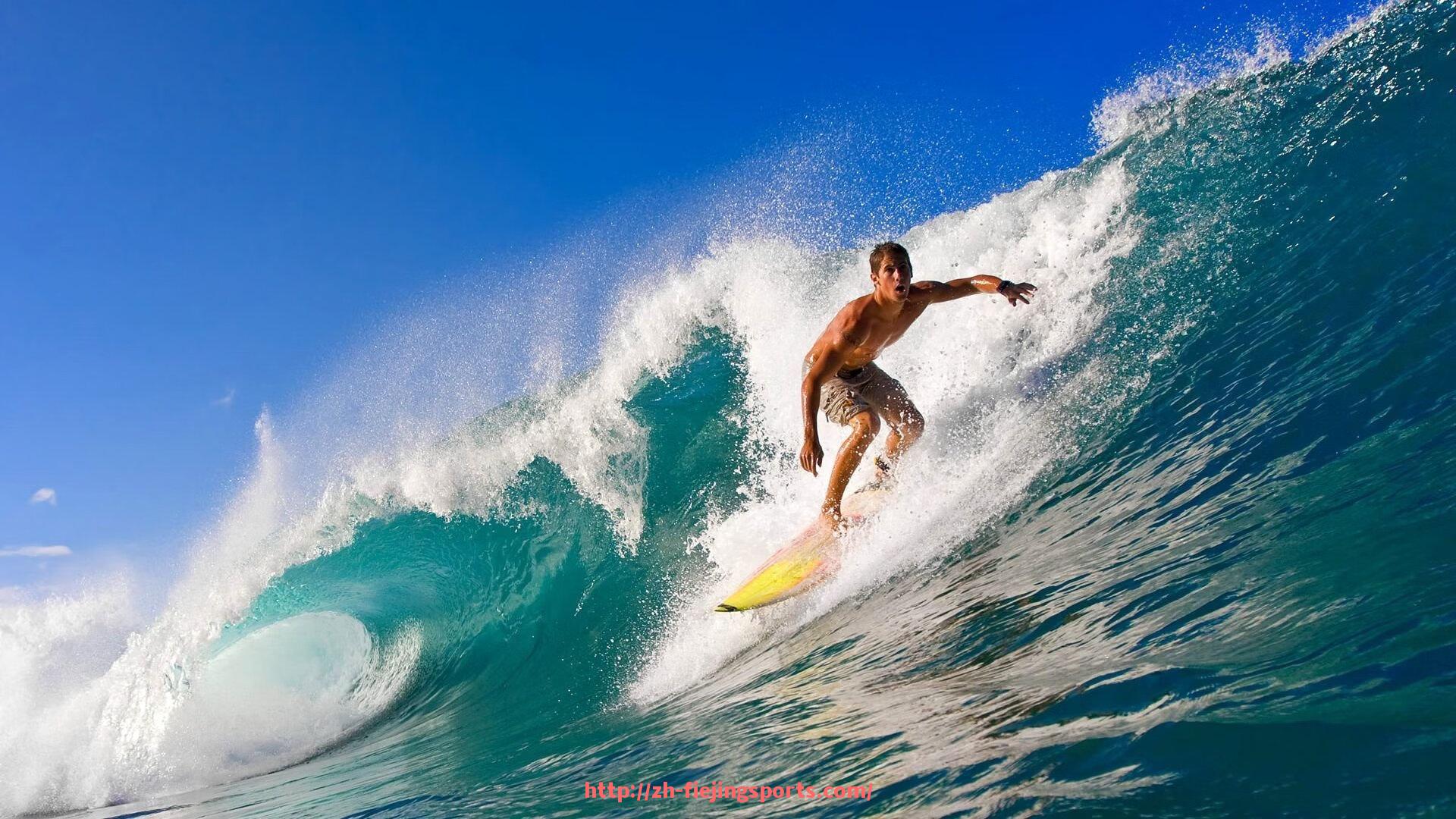 飞鲸体育直播-如何get你的专属健身器材？个性化定制解析