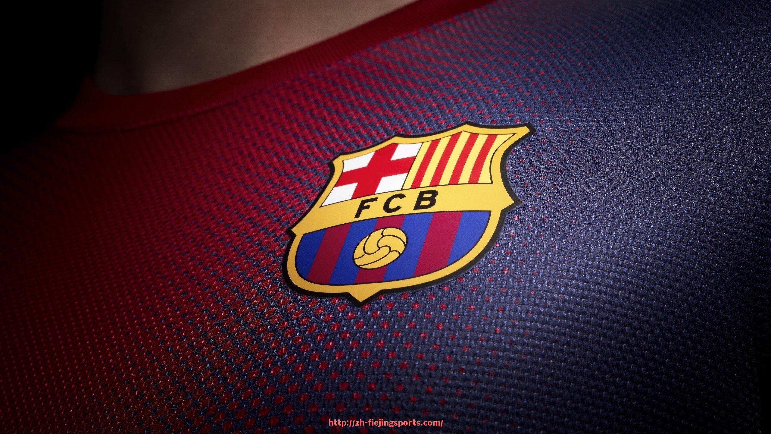 飞鲸体育直播-德甲球队身价是否等同于球员工资的详细说明